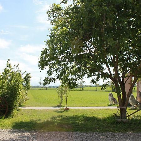 New Flowers Farm B&B Noceto Luaran gambar