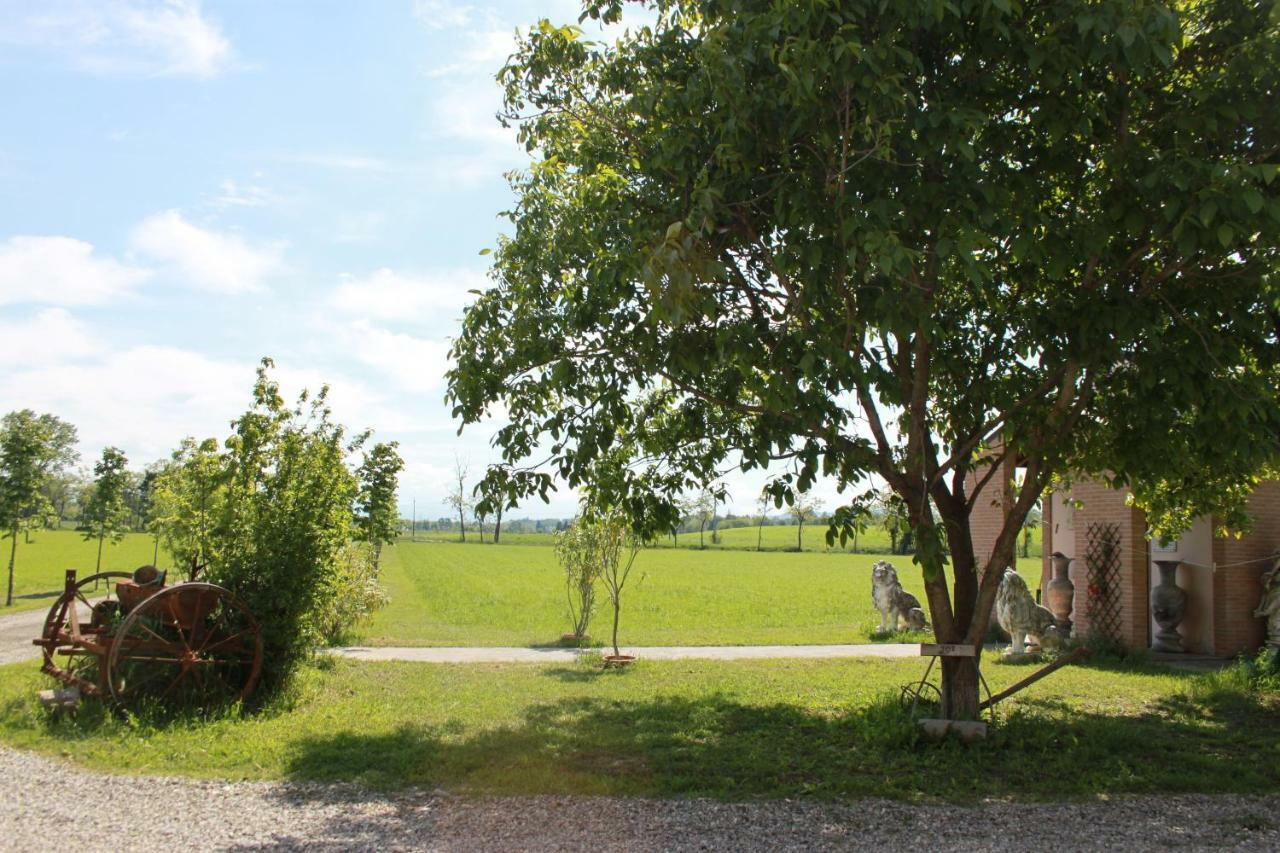 New Flowers Farm B&B Noceto Luaran gambar