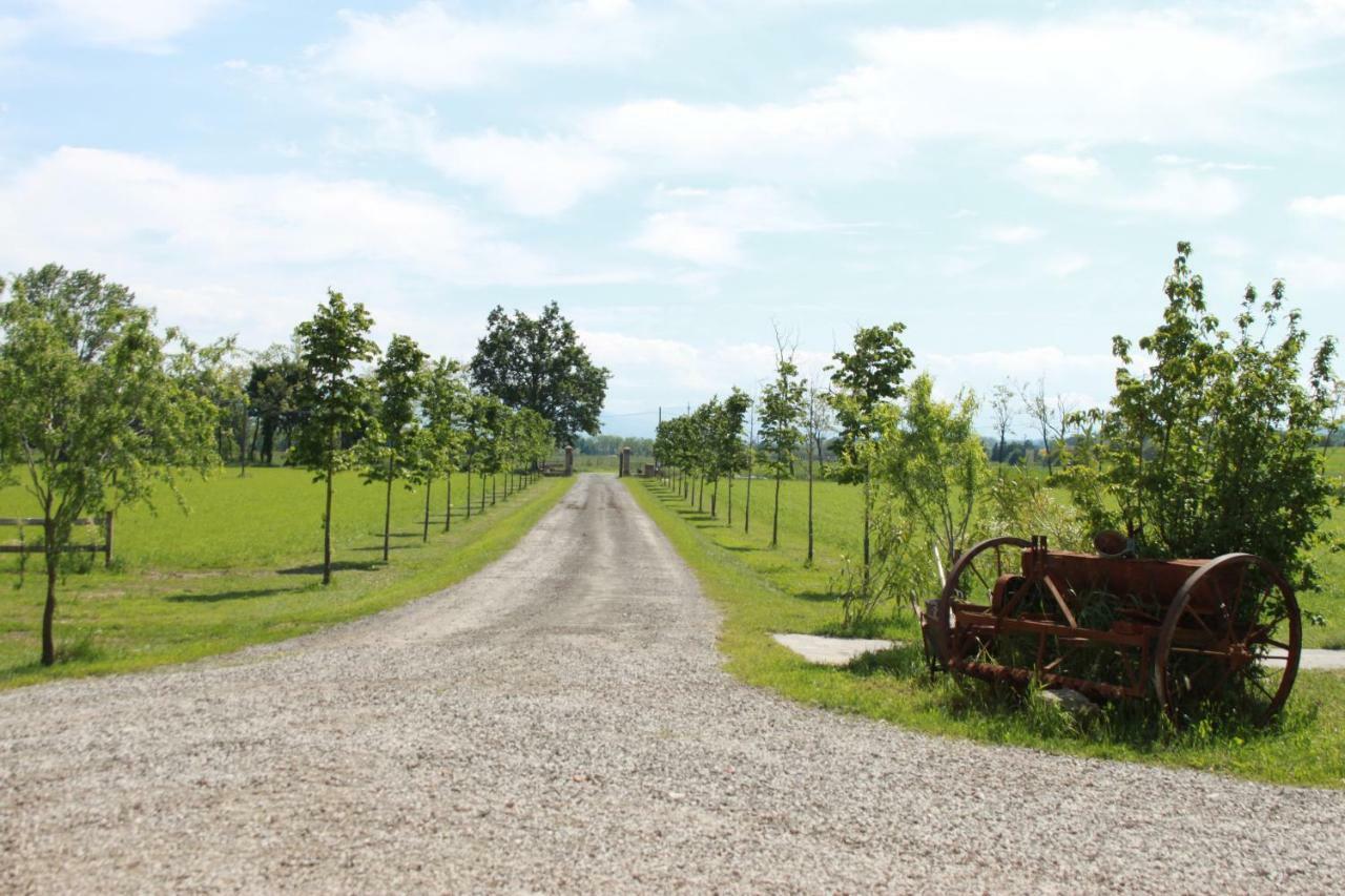 New Flowers Farm B&B Noceto Luaran gambar